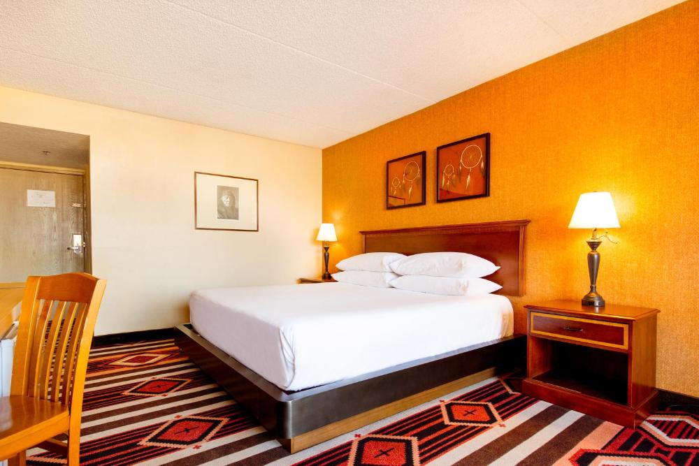 Traditional 1 King Bed interior